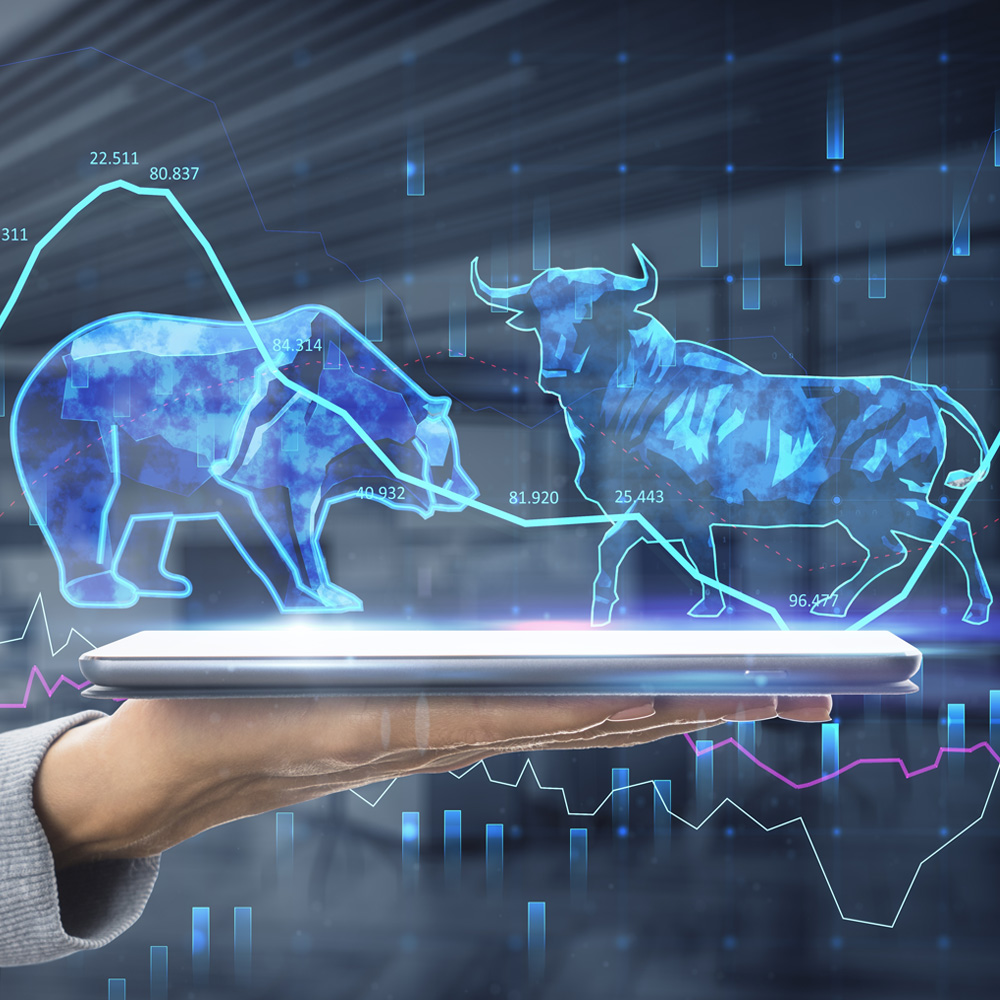 Challenges in Holding a Direct Equity Portfolio